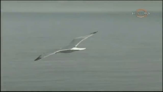 Захватчики Нормандцы