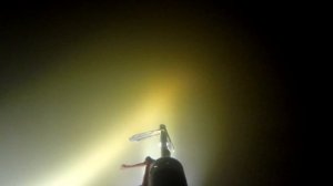 Подводная охота перед нерестом Ваши вопросы рыбнадзору