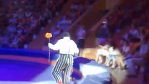 21072012573   Программа цирка тайна слонов великанов