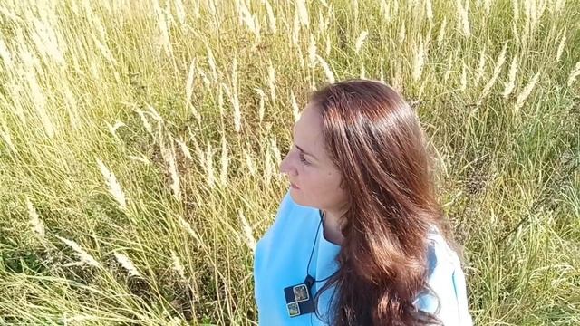 Ах ты, степь широкая