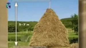 Стожар