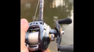 Daiwa Tatula SV TW 103H Review