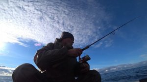 Окунь. Финский залив. Рыбнадзор.