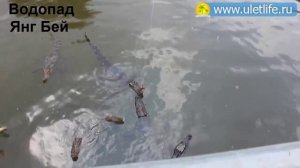 Экскурсии в Нячанге