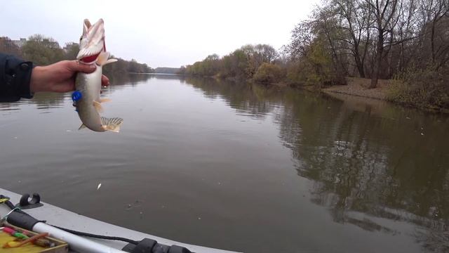 Wanted: эти приманки разыскивала щука!!!! смотреть онлайн