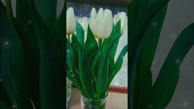 #music #amazing #club #shorts #hit #80s #bestmusic #tulips The Motion Epic - Shattered Dreams