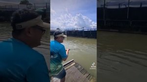 Shimano Stella 4000M (2022 JDM) vs Giant Trevally