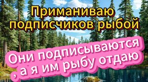 Ловля леща на фидер. Приманиваю подписчиков осенним лещом.