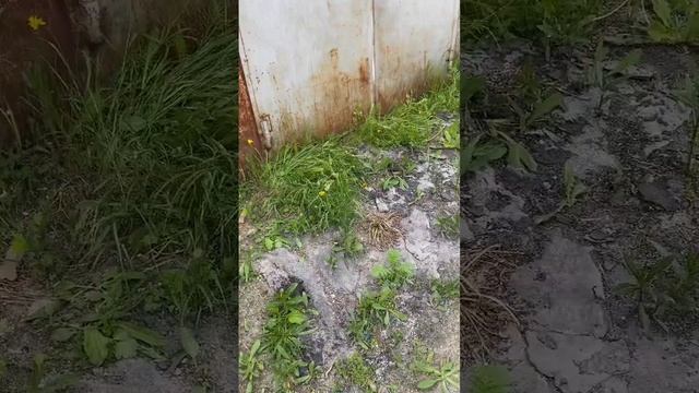 У тебя есть гараж?
