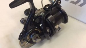 Daiwa Castizm Jap Import Version 2