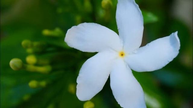 ЛЮБЛЮ ХРИСТА