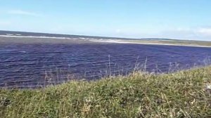 терский берег пялица