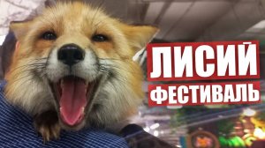 ЛИСИЙ ФЕСТИВАЛЬ. Тискаем пушистиков на Fox Family Fest