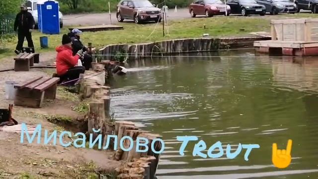 Мисайлово Trout Сопротивление форели
