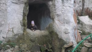 Зима в Сочи. Парк "Дендрарий"