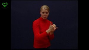 (014) Кошмар, ужас. Словарь лексики русского жестового языка