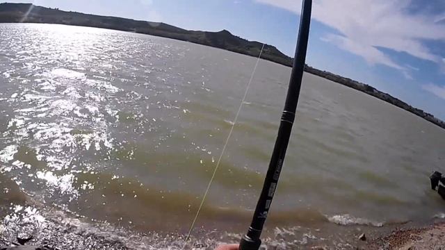 Catfish fishing with pellets on the Ebro- Pelletes harcsahorgászat az ebrón смотреть онлайн