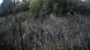 Охота на лося на реву. Поговорим и посмеёмся. Часть 2!!!!Попробуйте не заржать😉