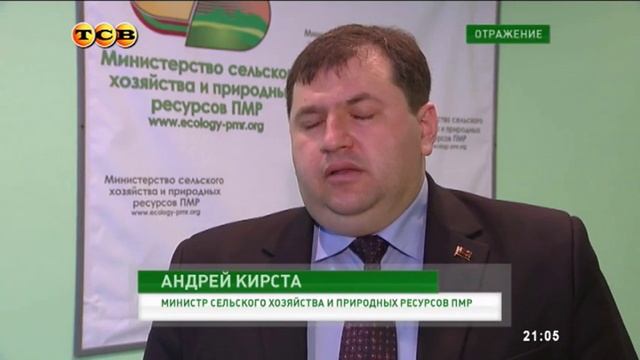 Отражение. ТСВ. 11.04.2015 смотреть онлайн