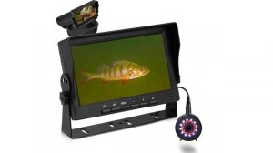 Best Underwater Fishing Camera 2024 | Top 5 Underwater Fishing Camera Reviews |