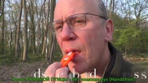 Манок Belblatt на косулю и лису (краткий обзор)