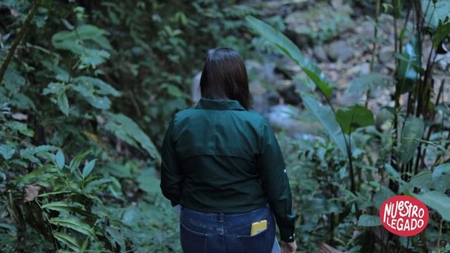 Conservación de Fauna en Cafetales | Joan Daniel Navarro Godínez смотреть онлайн