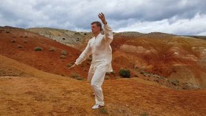 42 forms Taijiquan. Part 2. 42 формы тайцзицюань - часть 2