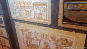 Поездка в Египет август 2023. Шарм-Эль-Шейх