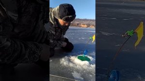 Как правильно подсекать и вываживать щуку.