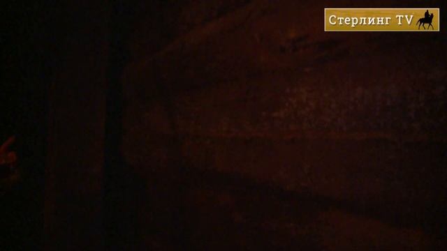 Герман Стерлигов проводит экскурсию по сырному лабиринту. Стерлинг ТV