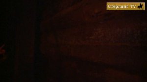 Герман Стерлигов проводит экскурсию по сырному лабиринту. Стерлинг ТV