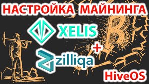 ⚡️ Xelis (XEL) + Zilliqa (ZIL) - лучшая связка на сегодня! Настраиваем майнинг в HiveOS