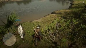 Молочай. Подсказки(гайды), помощь. Red Dead Redemption 2 online. РДР2 онлайн.