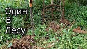 В ТАЙГУ ЗА МЕТАЛЛОМ. ПОЛНАЯ МАШИНА МЕТАЛЛА. НАДЕРГАЛ ЧАГИ ЗА ОДНО.