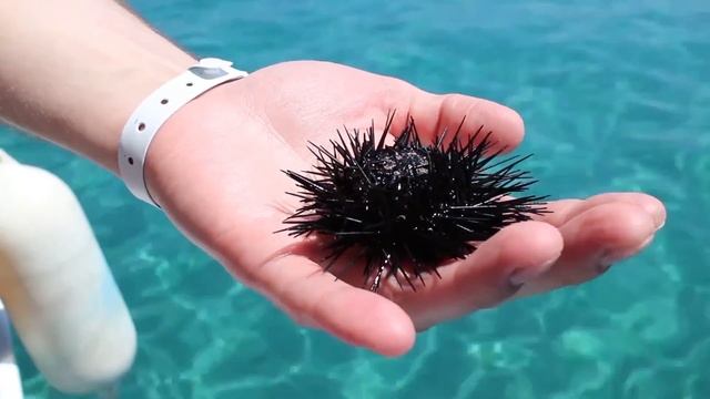 SUMMER VLOG: TURKEY - Турция, Мармарис ЧАСТЬ 1 смотреть онлайн