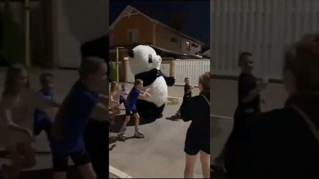 #funny #new #crazy #crazypeople #crazypanda #panda  #smile #funnyvideo