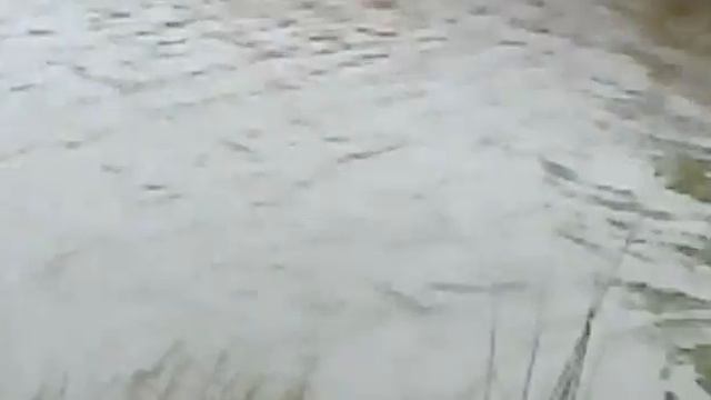 Karp 5kg 60cm смотреть онлайн