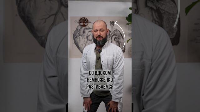 Как БЫСТРО укрепить мышцы живота? #живот #пресс #мышцы #здоровье