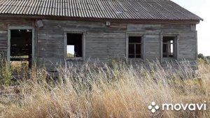Заброшки. Где-то в лесу г. Рассказово.