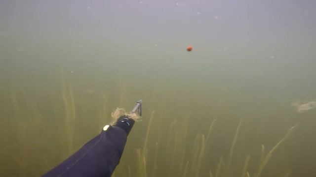 обитатели эстонских водоемов смотреть онлайн