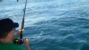 Reeling in a Barracuda..