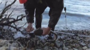 Ловля сомят на выползка часть 1