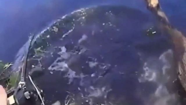 вот это приманка