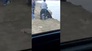 Лошадь упала с обрыва в Нуру. Спасение лошади