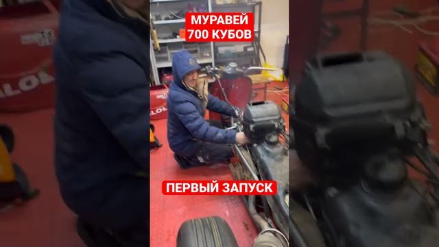 МУРАВЕЙ 700 КУБОВ ПЕРВЫЙ ЗАПУСК!