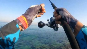 daiwa seabass hunter x 86LL / daiwa bg 2500 mq / varivas leader n line