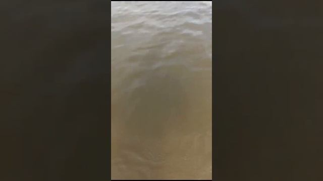 река вятка обмелела 2023 год смотреть онлайн