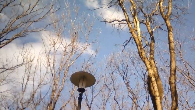 РАННЯЯ ВЕСНА