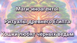 Маги-иноагенты, ловцы Душ, ритуалы Египта. Кошки - вредны?