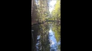 Нестеровское озеро, п Шапки